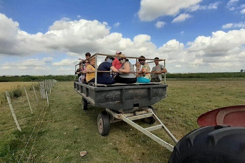 tractor ride