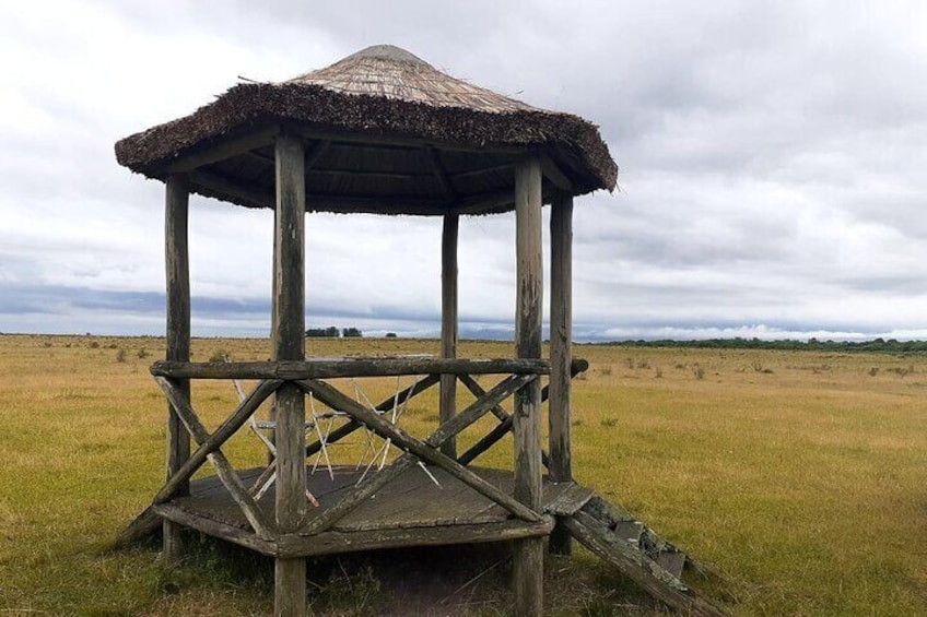 lookout