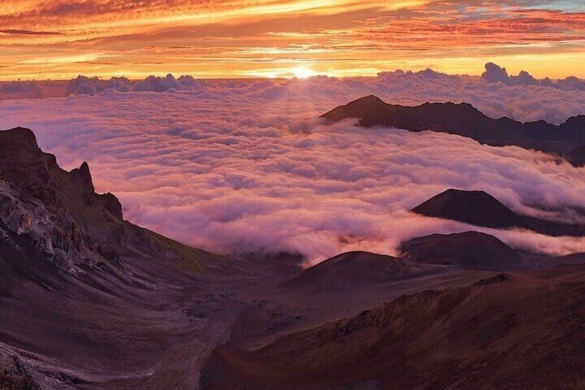 Haleakala Sunrise in a Luxury Mercedes Sprinter