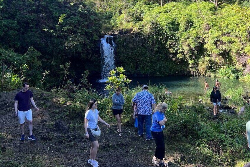 Maui’s Sea Turtles, Waterfalls and Road to Hana Adventure