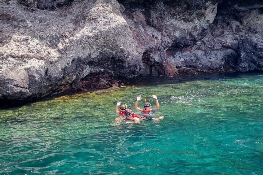 Fuerteventura Marine Life Snorkeling Discovery