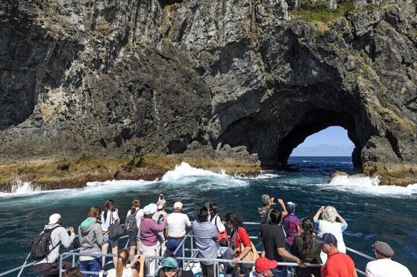 Bay of Island Day Tour with Hole in the rock cruise from Auckland