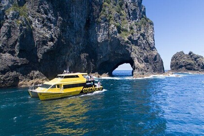 Bay of Island Day Tour with Hole in the rock cruise from Auckland