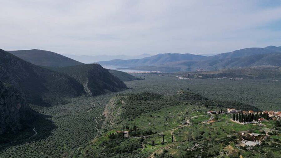 Hike on Ancient Path through the Olive Groves in Delphi