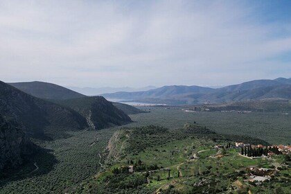 Hike on Ancient Path through the Olive Groves in Delphi