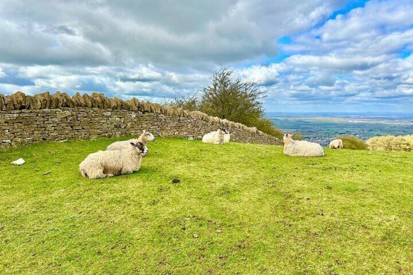 Broadway Tower Walk in Cotswolds and Cream Tea