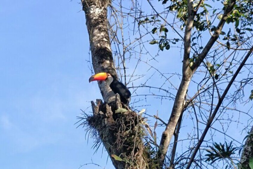 Private Tour in Iguaçu Falls