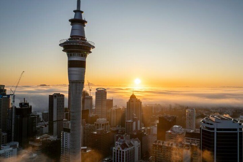 Auckland Half Day Tour Through Urban Wonders