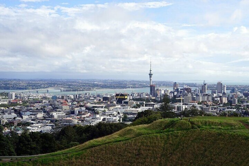 Auckland Half Day Tour Through Urban Wonders