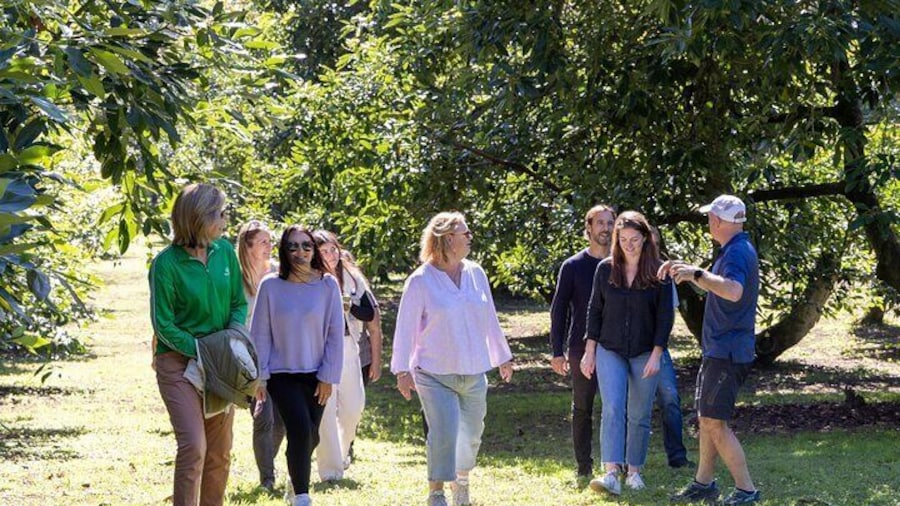Walk and talk