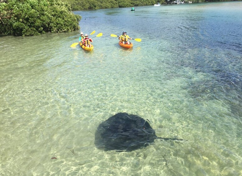 Picture 1 for Activity Kayak Hire Batemans Bay