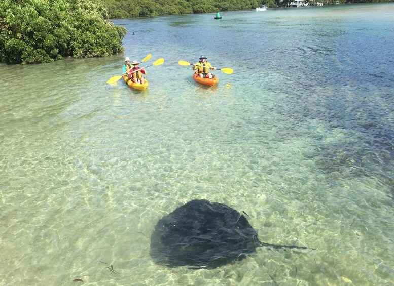 Picture 1 for Activity Kayak Hire Batemans Bay