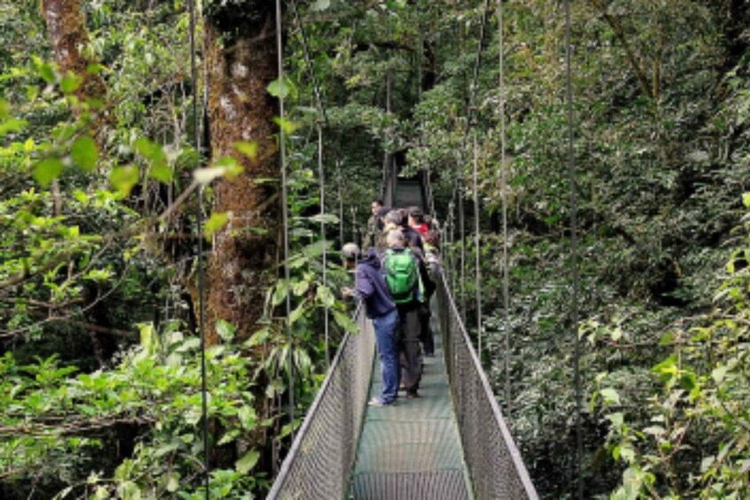 Picture 1 for Activity Monteverde: Guided Hanging Bridge Adventure