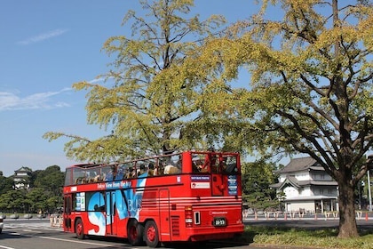 Tokyo City, Open Top Bus Sightseeing Trip