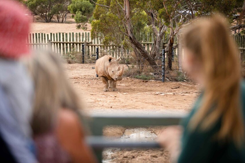 Picture 4 for Activity Monarto Safari Park: General Admission Tickets