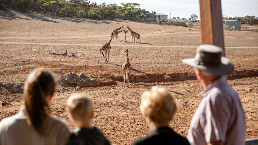 Monarto Safari Park: General Admission Tickets