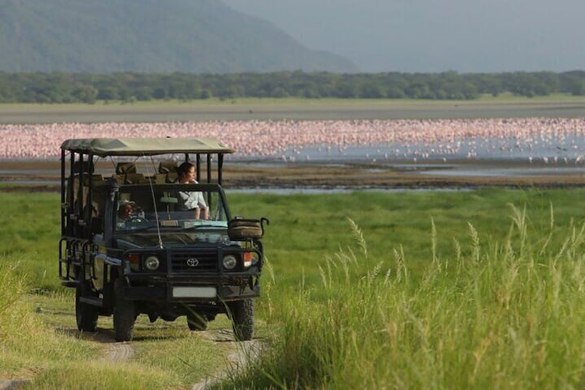 Safari Multi- day Private Tour from Arusha