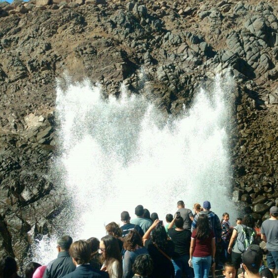 Picture 1 for Activity Ensenada: La Bufadora Guided Tour with Tequila Tasting