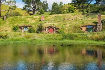 Private Tour Tauranga Magical Hobbiton Movie Set