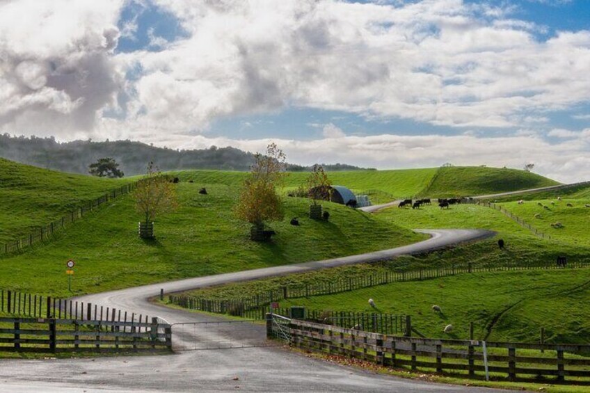 Private Tour in Tauranga Magical Hobbiton Movie Set