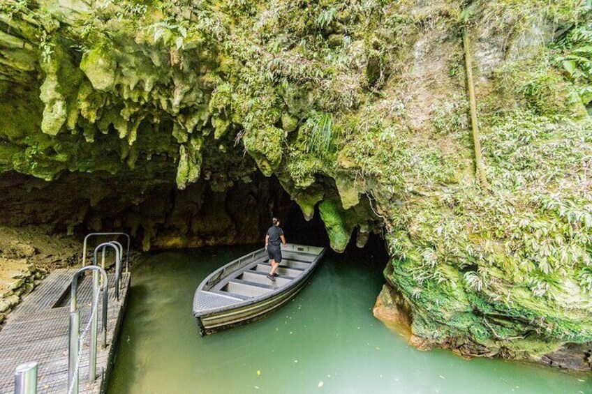 Private Tour Waitomo Caves from Auckland 