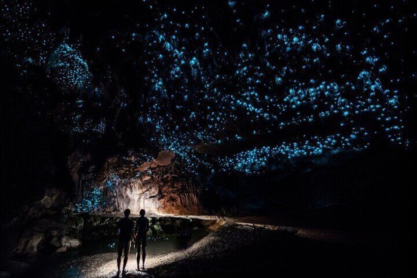 Private Tour Waitomo Caves from Auckland 