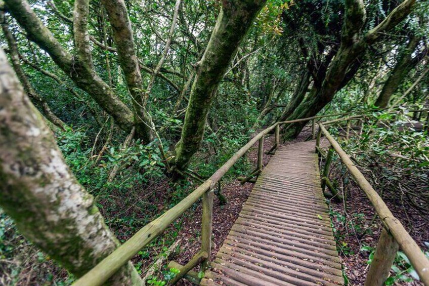 Fray Jorge Park - La Serena Ecotourism