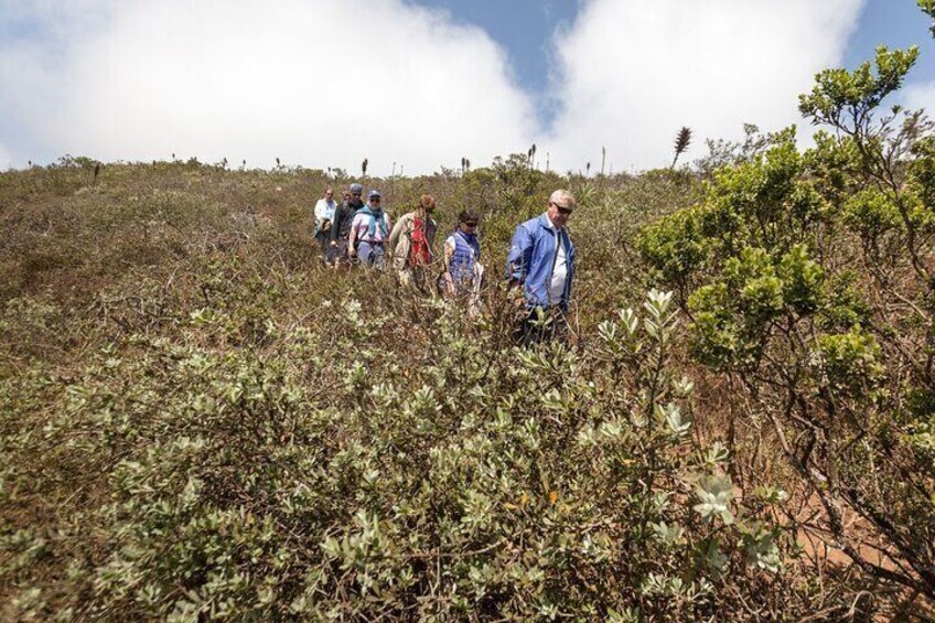 Fray Jorge Park - La Serena Ecotourism