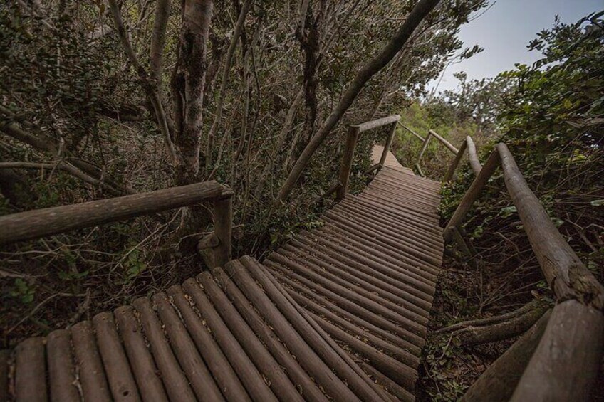 Fray Jorge Park - La Serena Ecotourism