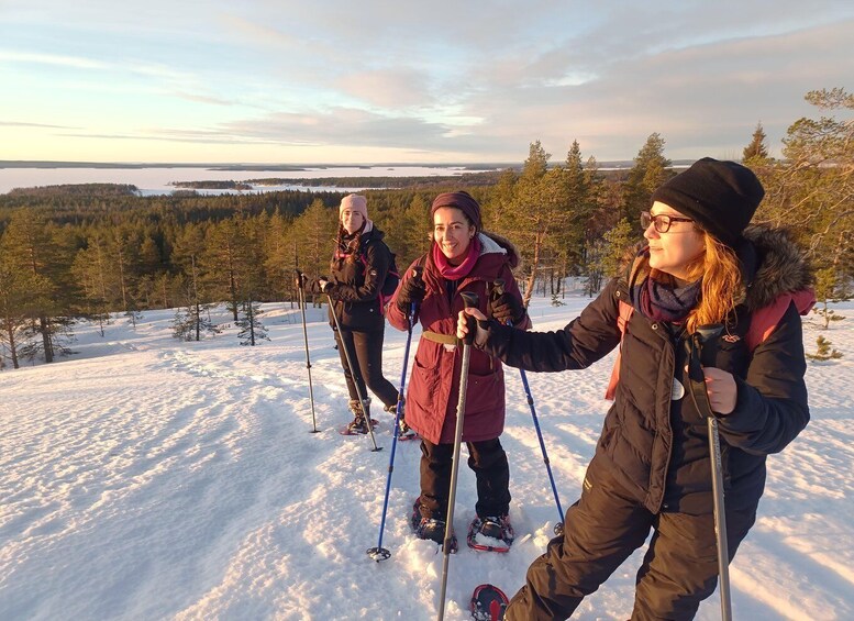 Picture 2 for Activity Luleå: Guided Snow Shoe Walk in Forest Landscape