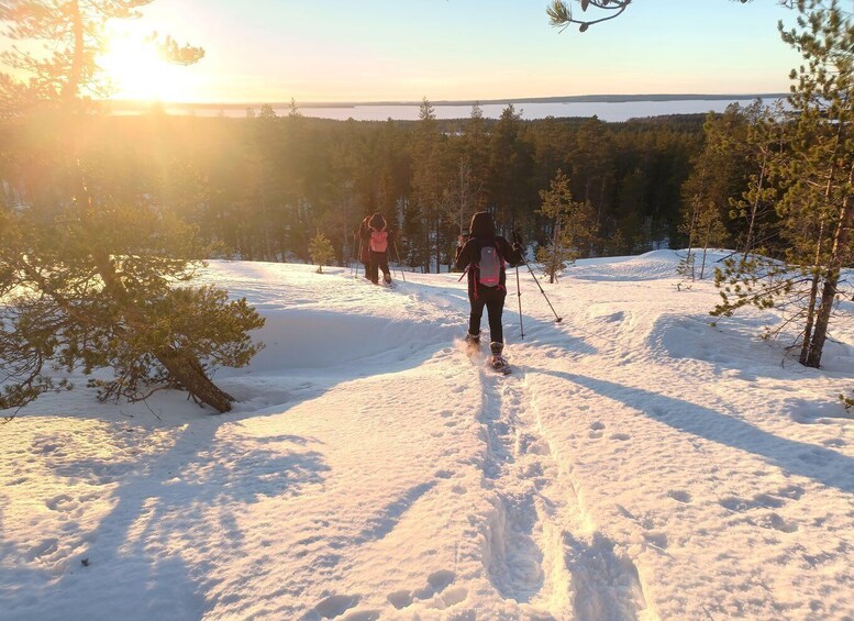 Picture 1 for Activity Luleå: Guided Snow Shoe Walk in Forest Landscape