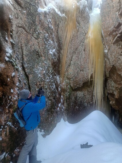 Picture 9 for Activity Luleå: Guided Snow Shoe Walk in Forest Landscape