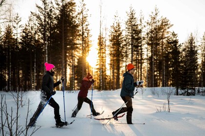 Luleå: Guided Snow Shoe Walk in Forest Landscape