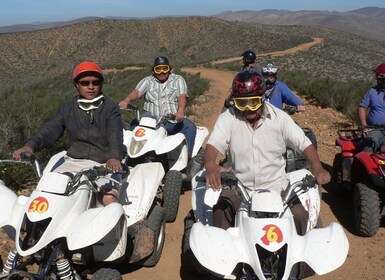 Ensenada: Las Cañadas Campamento quad bike Tour with Hotel Pickup