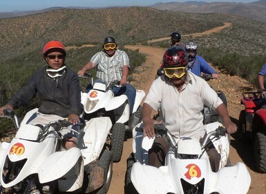 Ensenada: Las Cañadas Campamento ATV Tour with Hotel Pickup