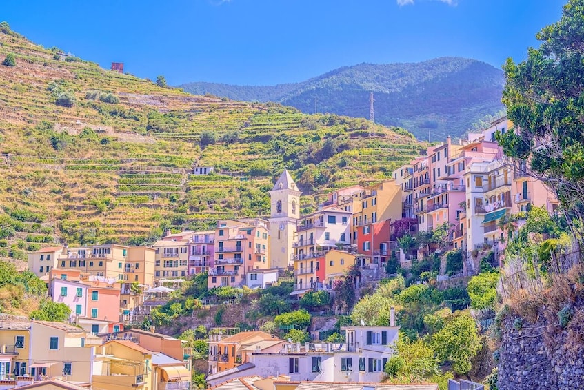 Round Trip Transfer to Cinque Terre from Florence