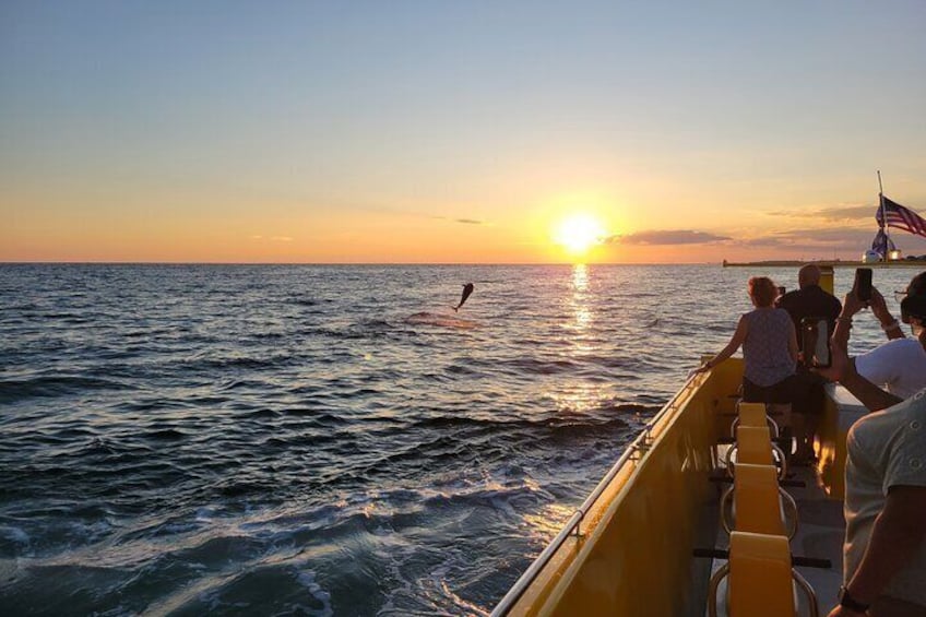 Hydro Rocket Dolphin Sightseeing Boat Tour from Destin