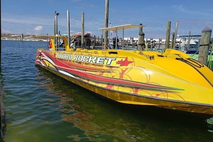 Hydro Rocket Dolphin Sightseeing Boat Tour from Destin