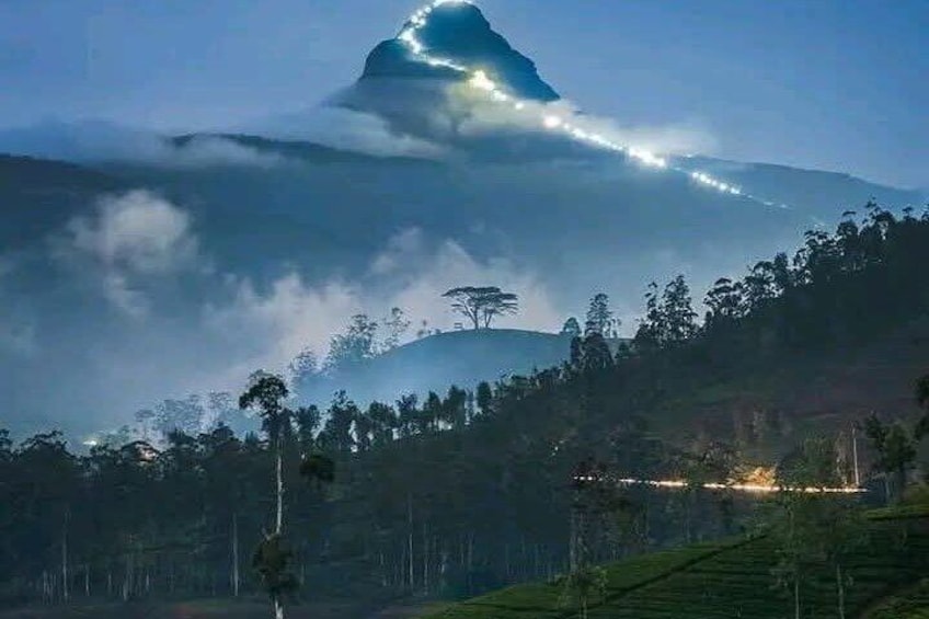 Adam's peak