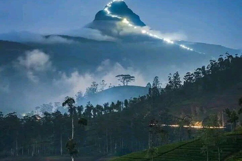 Adam's peak