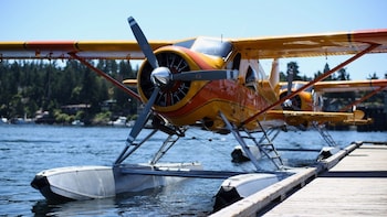 San Juan Island Tour Flight from Seattle