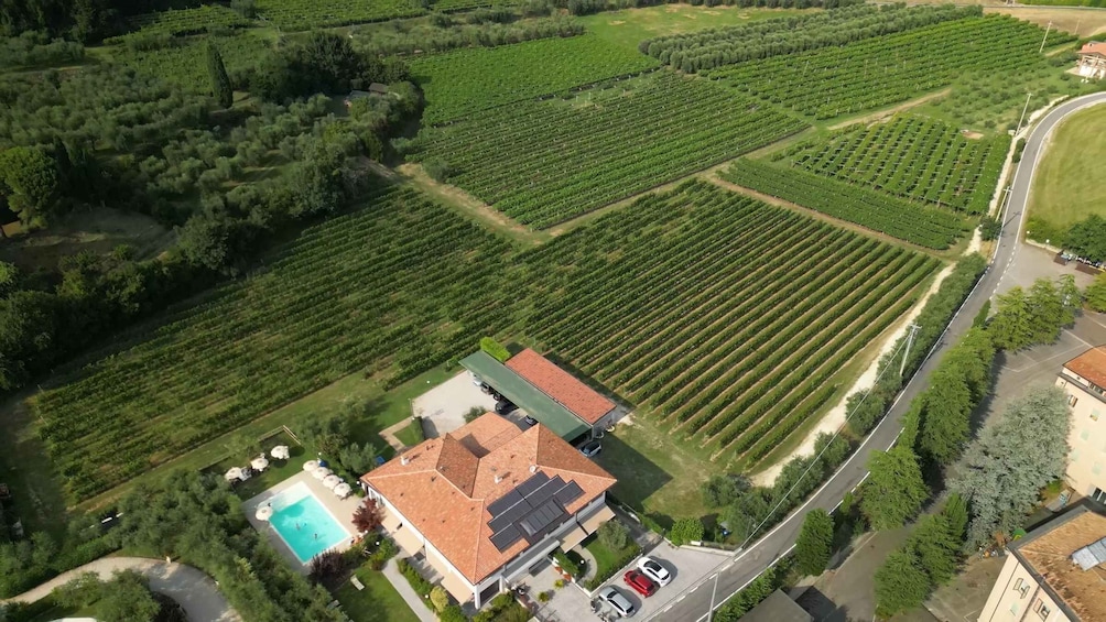 Picture 13 for Activity Bardolino: Garda Lake Pasta Cooking Class at Agritourism