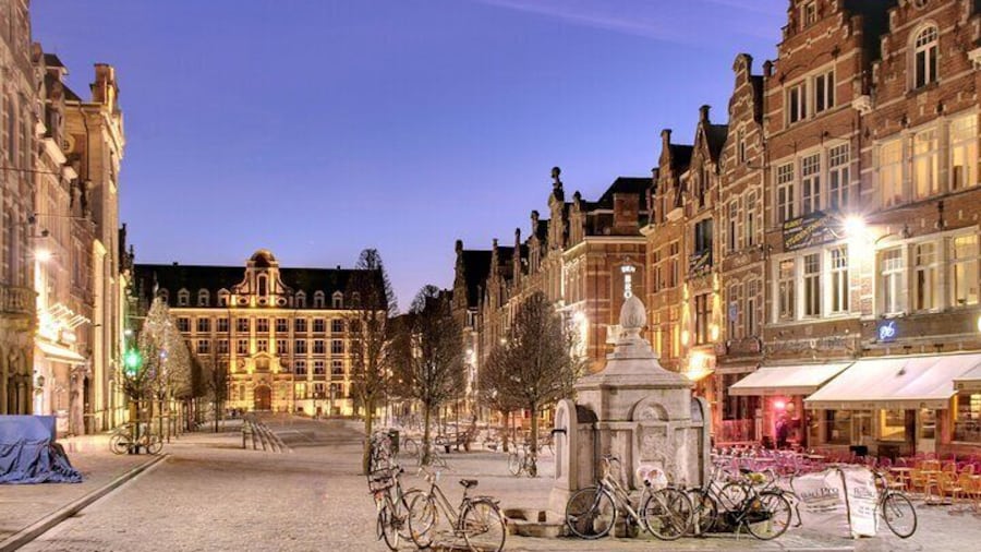 Leuven in One Day Walking Tour with Audio Guide on App