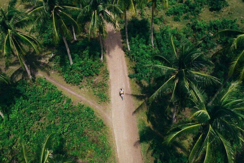 Coconut Highway 