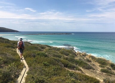 Batemans Bay: 3-Day Murramarang South Coast Walk