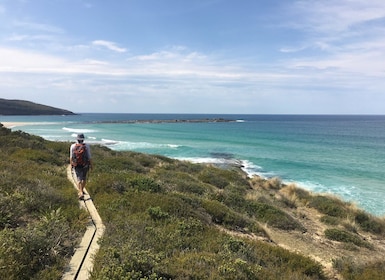 Batemans Bay: 3-Day Murramarang South Coast Walk