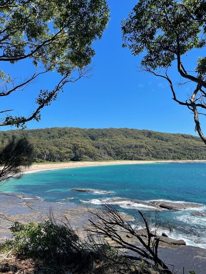 Picture 10 for Activity Batemans Bay: 3-Day Murramarang South Coast Walk