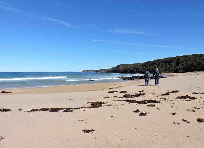 Picture 2 for Activity Batemans Bay: 3-Day Murramarang South Coast Walk