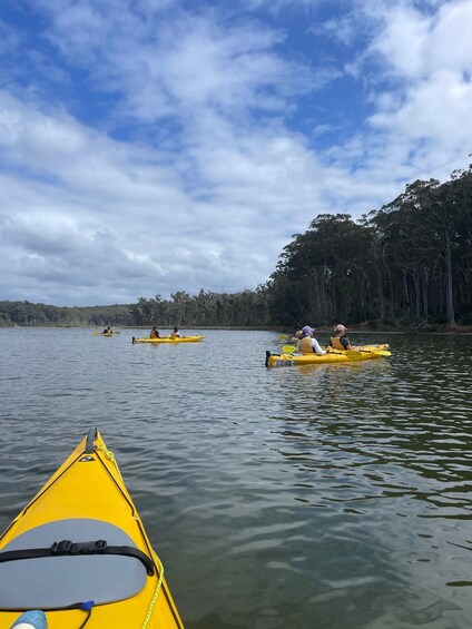 Picture 7 for Activity Batemans Bay: 3-Day Murramarang South Coast Walk