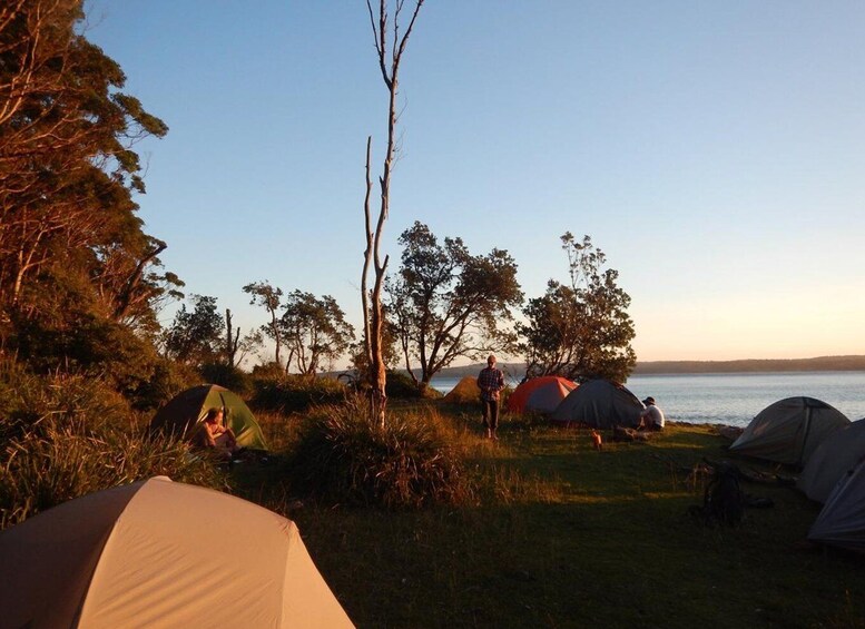 Picture 2 for Activity Batemans Bay: 2-Day Kayaking and Camping Adventure